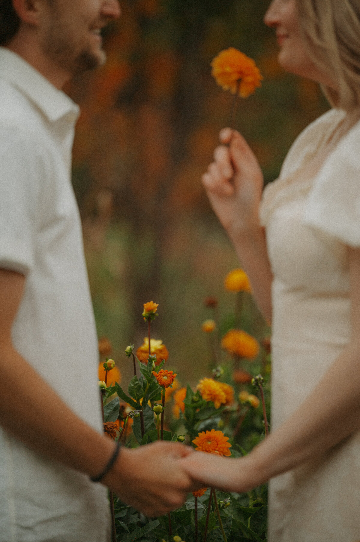 Photo of flowers in a field captured during a couples session in Edmonton Alberta 