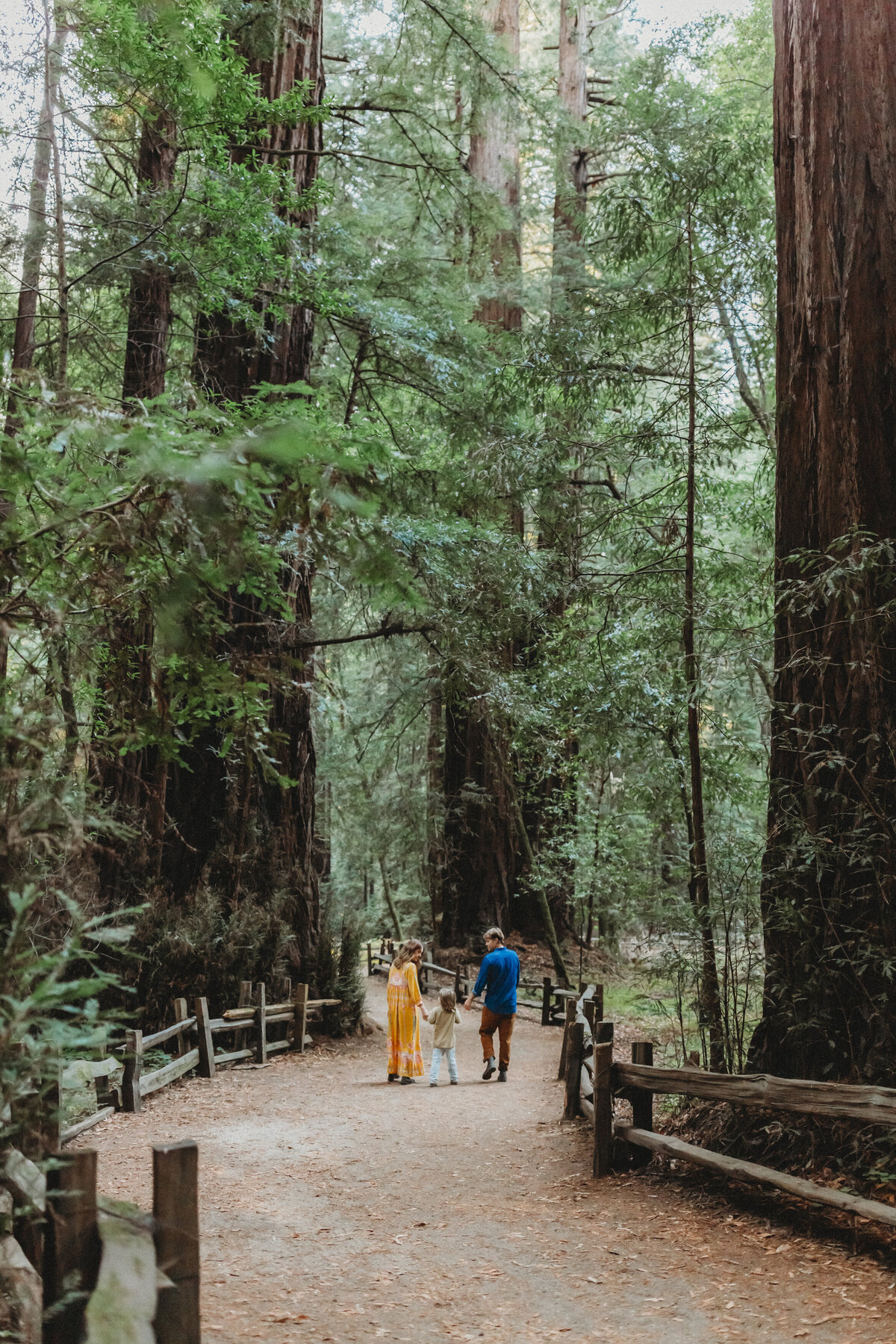 skyler maire photography - henry cowell family photos, redwood family photos, bay area family photographer, san francisco family photographer-4970