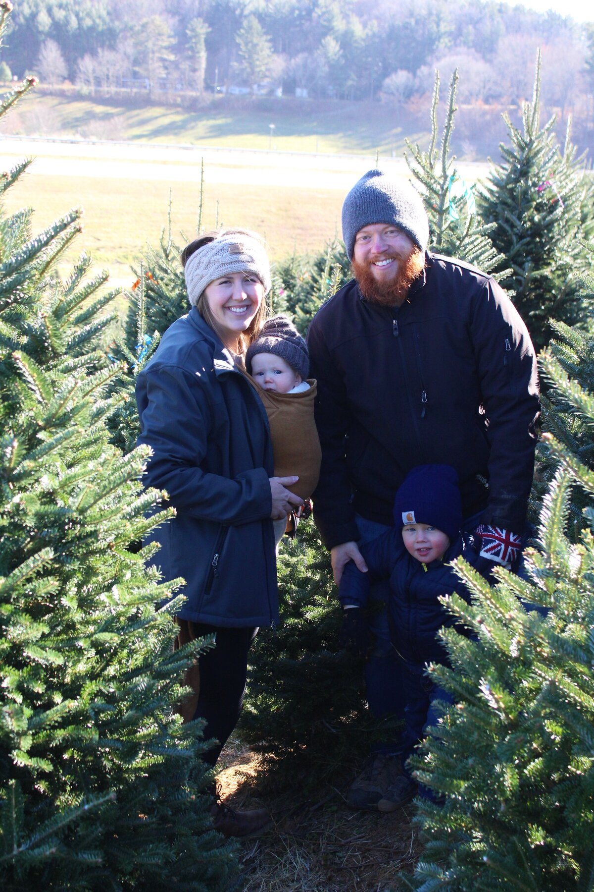 Appalachian Christmas Mountain Farms