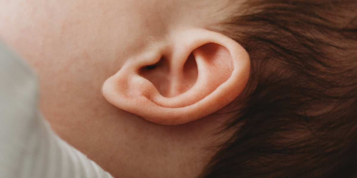 Detail ear newborn