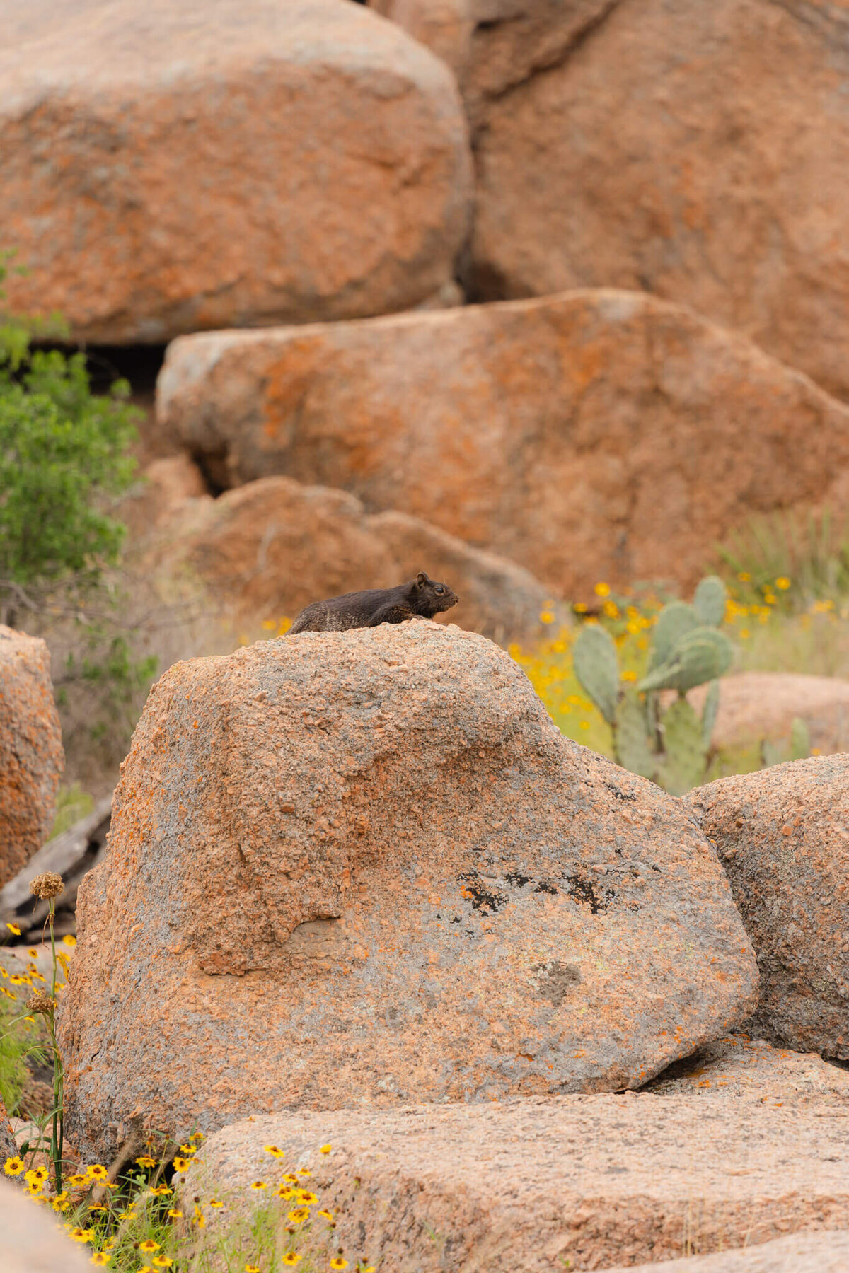 Adventure-Elopement-Photographer-776