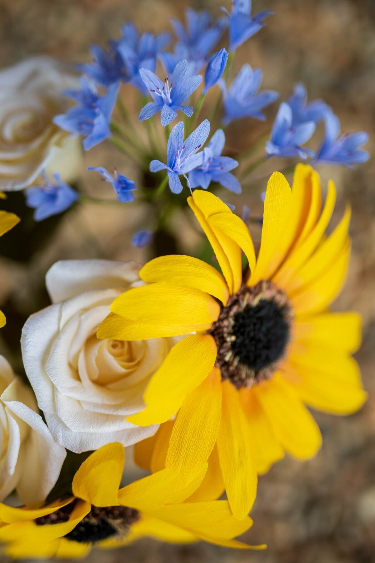 Paper sunflower and agapanthus