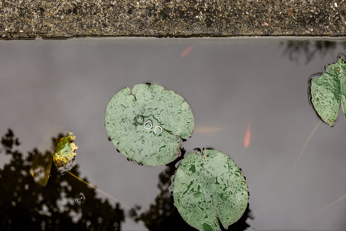 Kingston House N+R-1