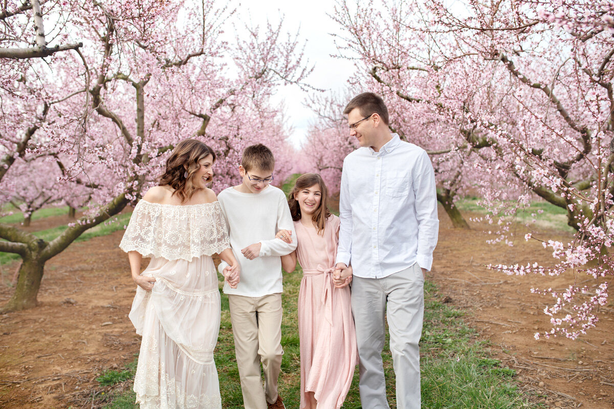 Family session under cherry blossom trees