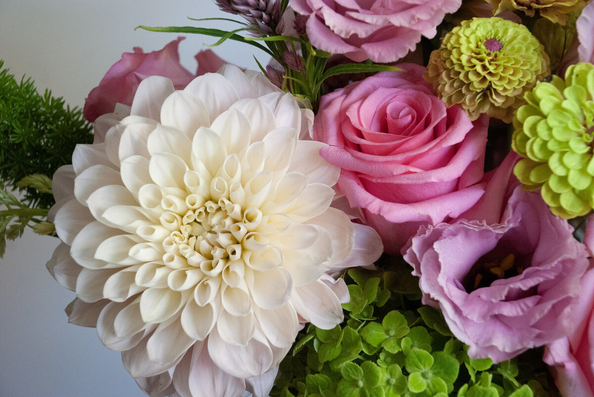 Fleurish-Arrangements | 09.20.25-06