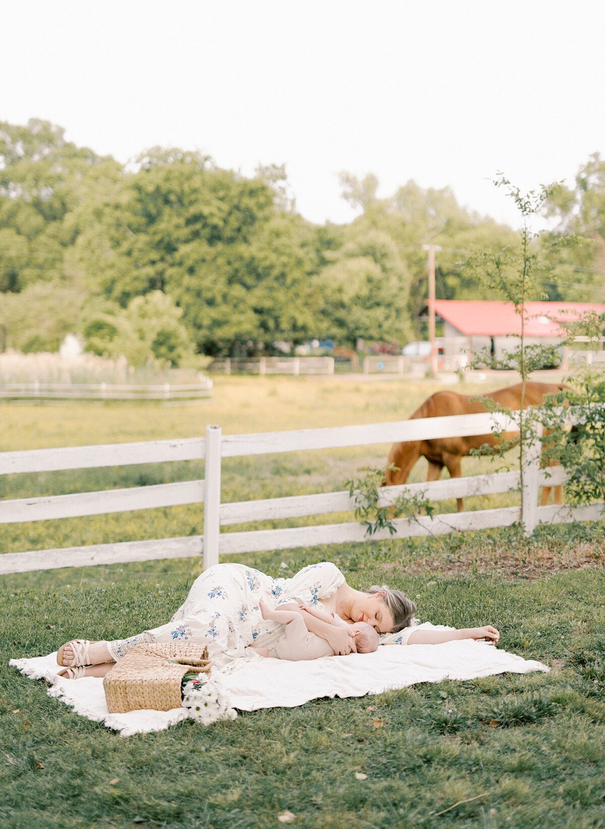 mom and baby laying in field with horses