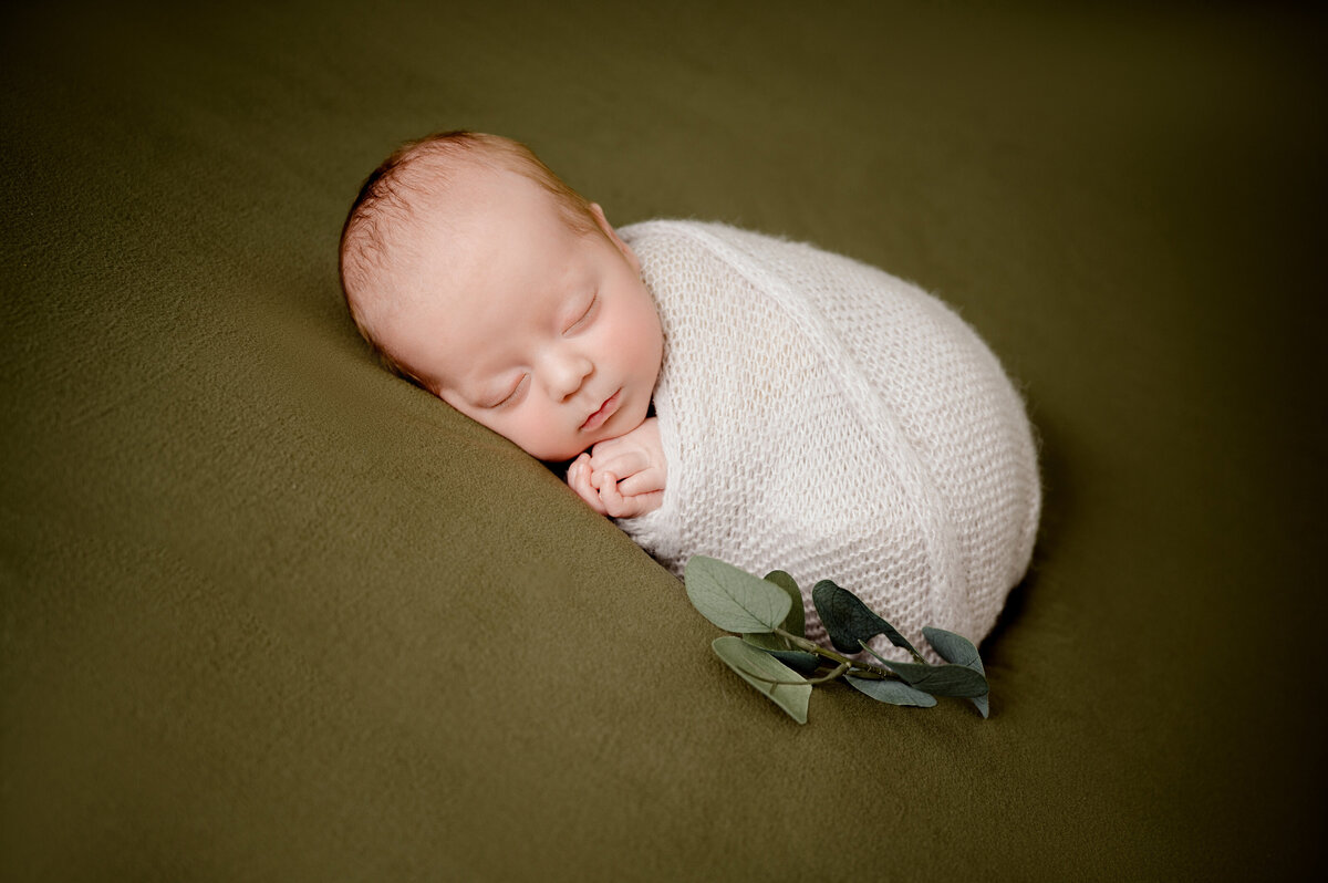 Posed Newborn Photography in Princeton Minnesota
