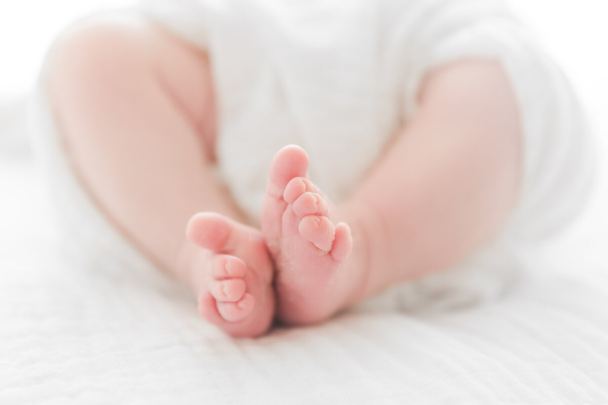 Newborn Baby Toes Denver, Colorado