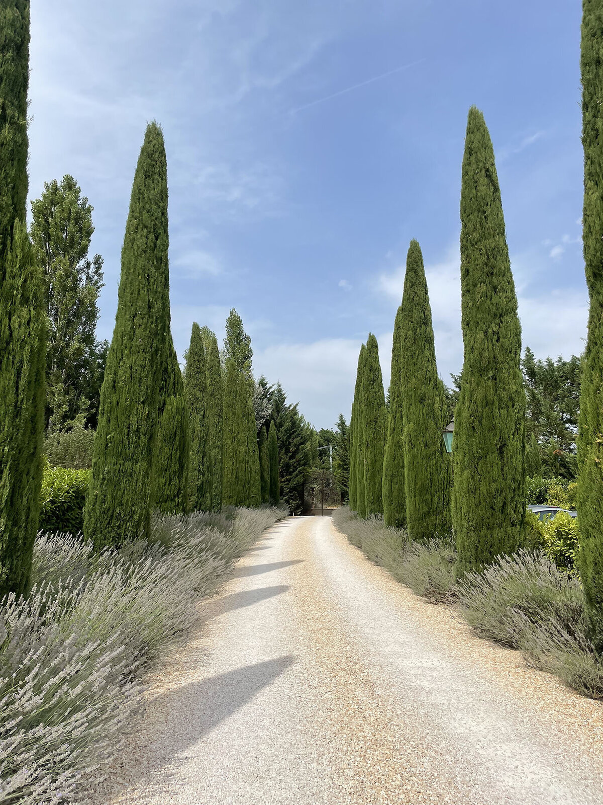 Borgo-Santo-Pietro-Willow-and-Oak-Events-BTS-69