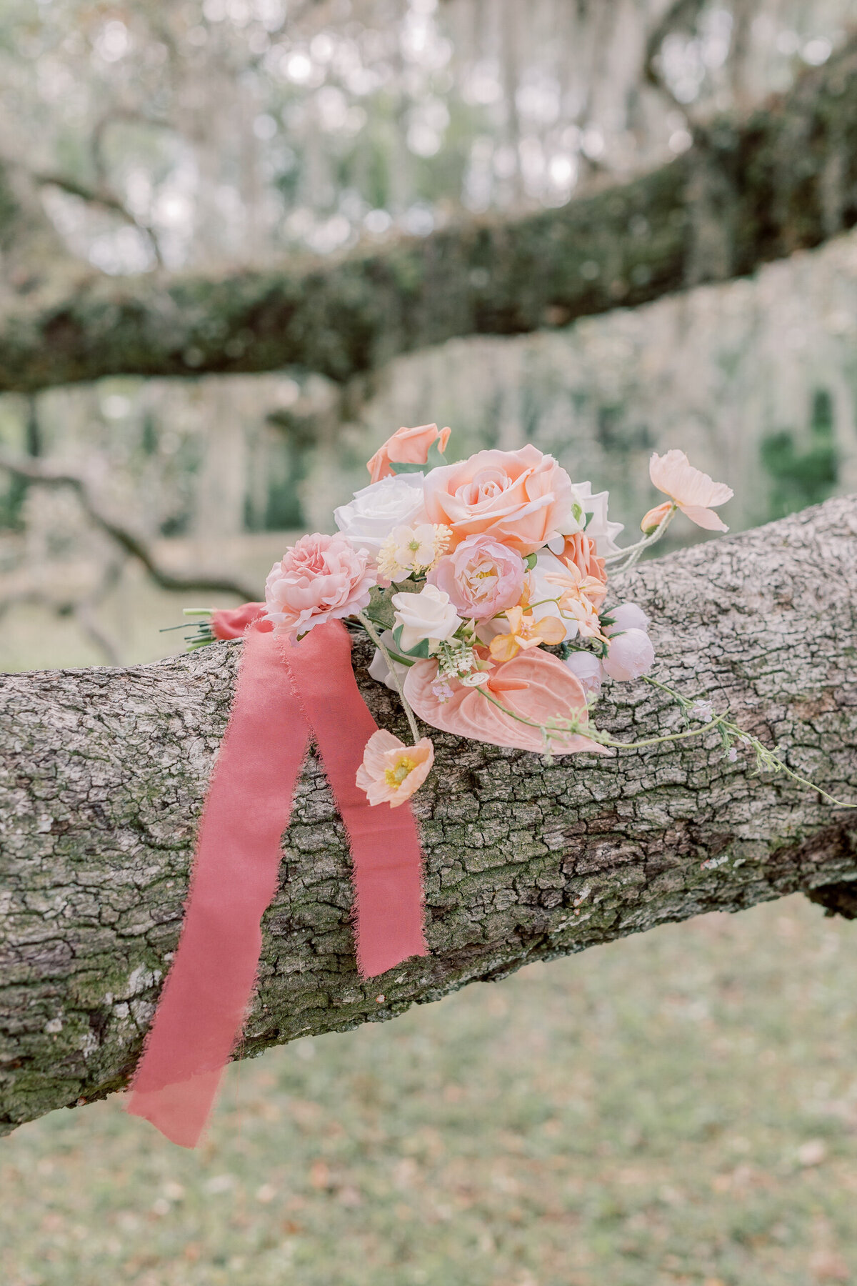FloridaElopement-OcalaNationalForest-14
