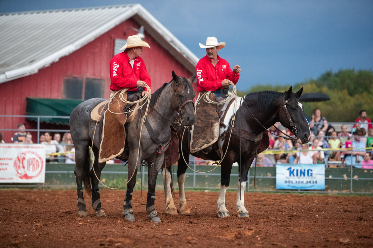 Rodeo Portfolio