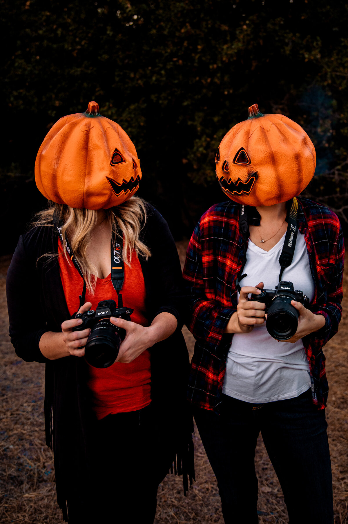 Fair Oaks Photographer