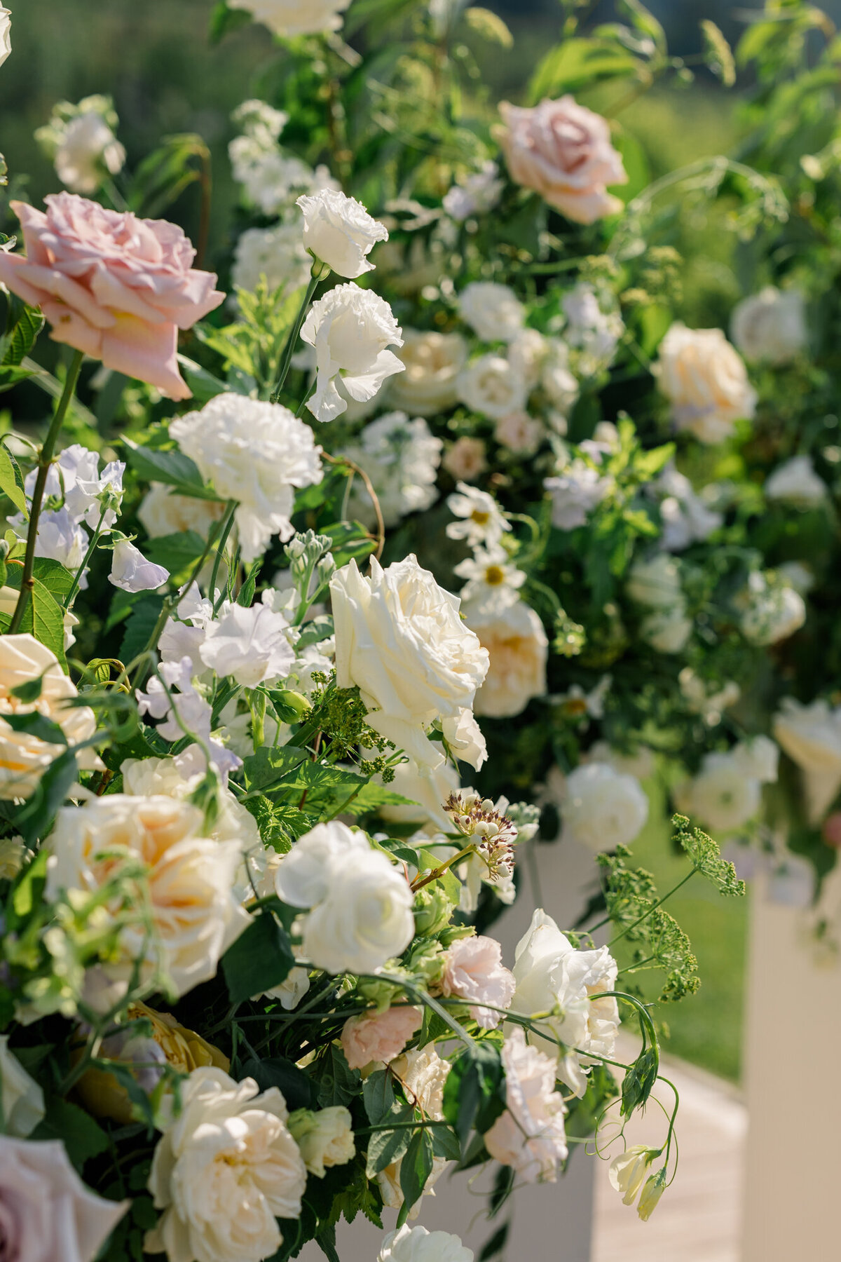 Mary Francis + Jared 2024-27