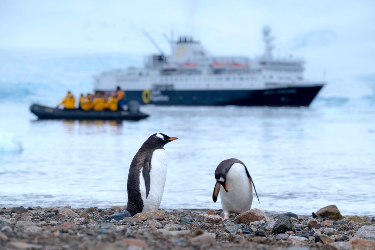 Two penguins on a shore with an expedition cruise ship in the background and a dinghy boat with passengers in front of it.