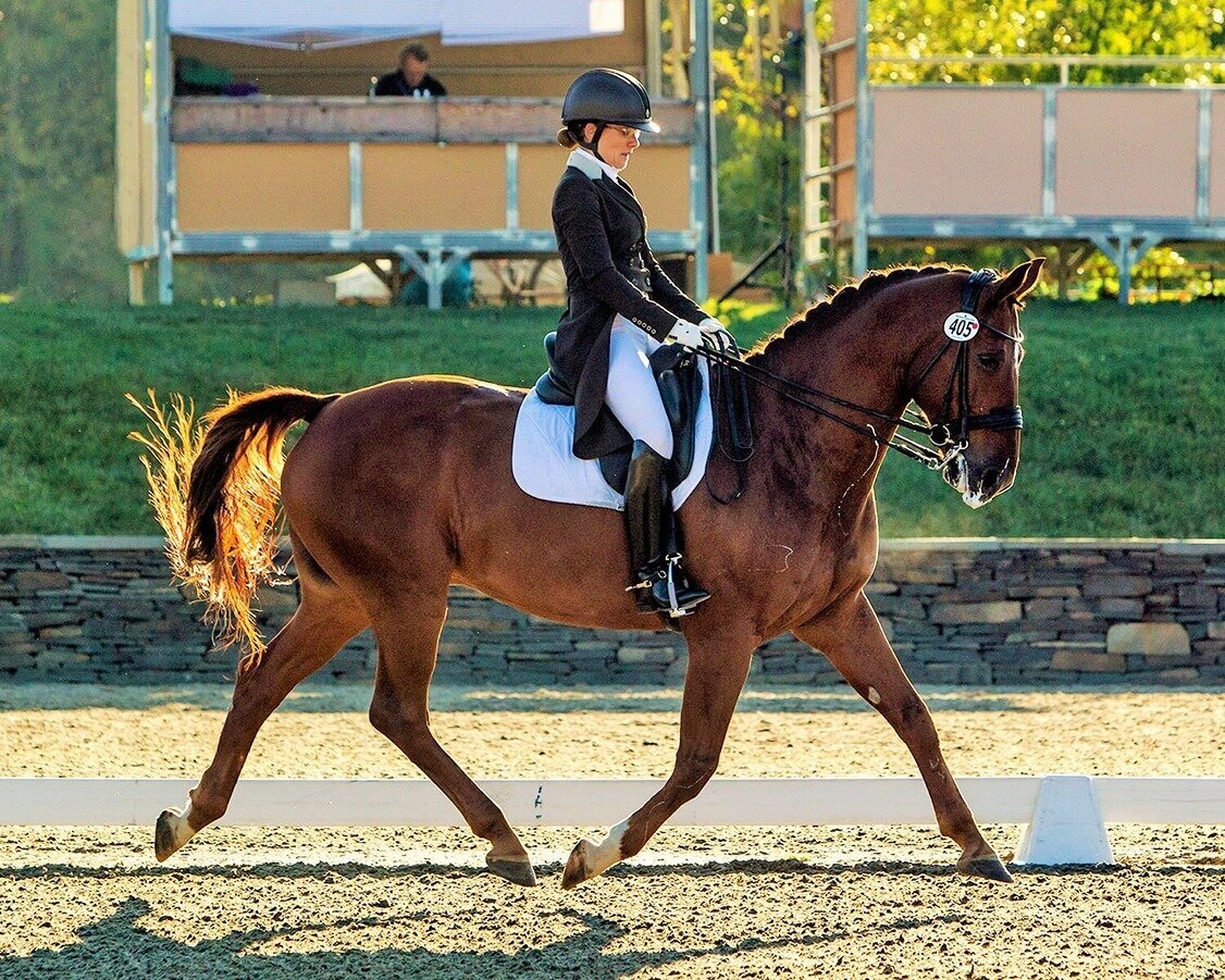 jessie-paine-jp-dressage-5