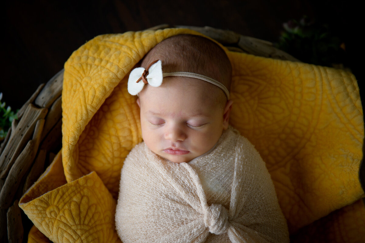 Abbie Potts Photography Green Bay Newborn Photographer Lifestyle Newborn Baby Session_0451