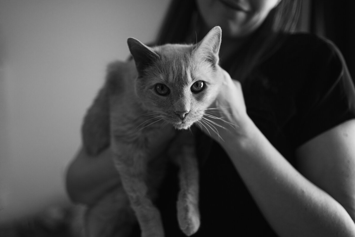 simba-5