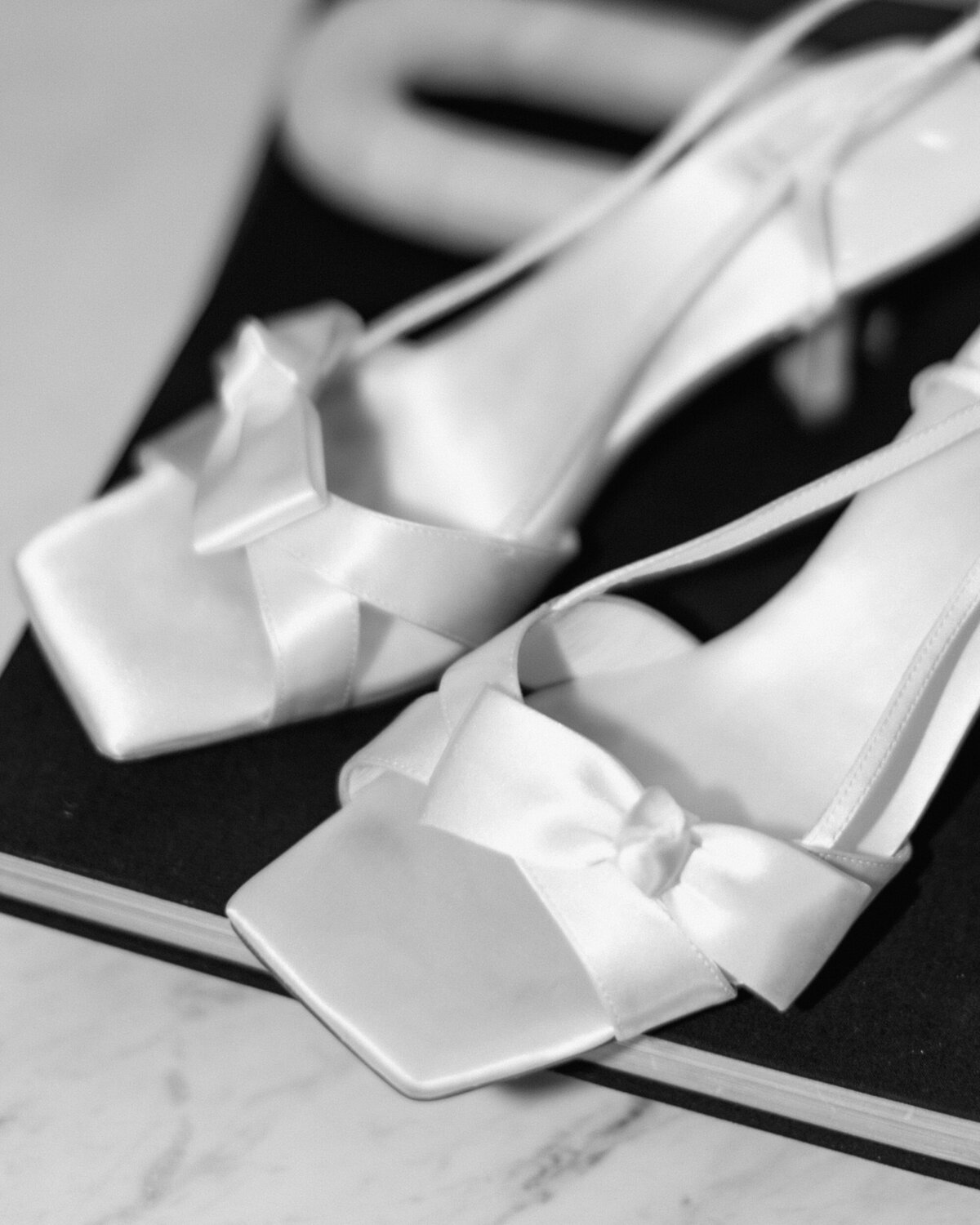 thedallasarboretumwedding-1