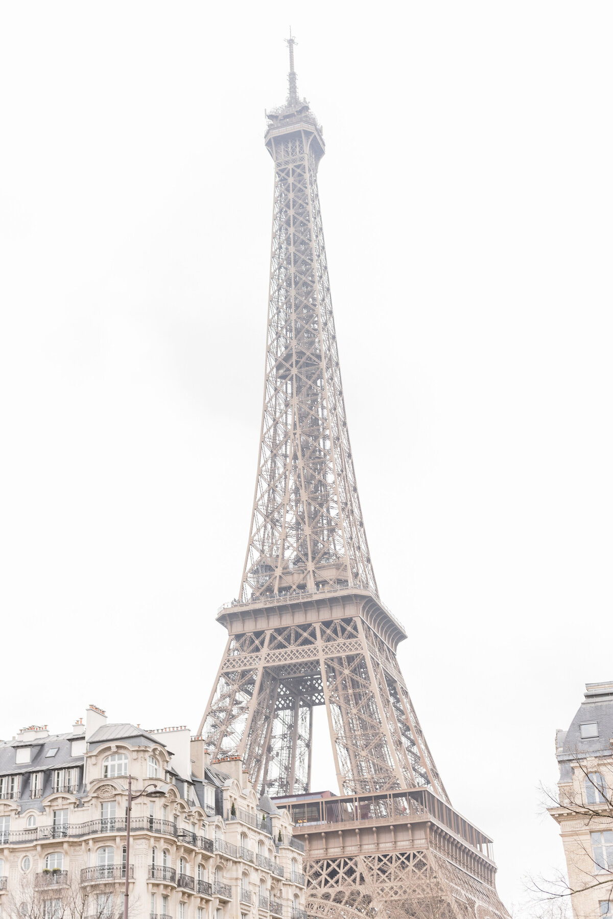 DSC_8009