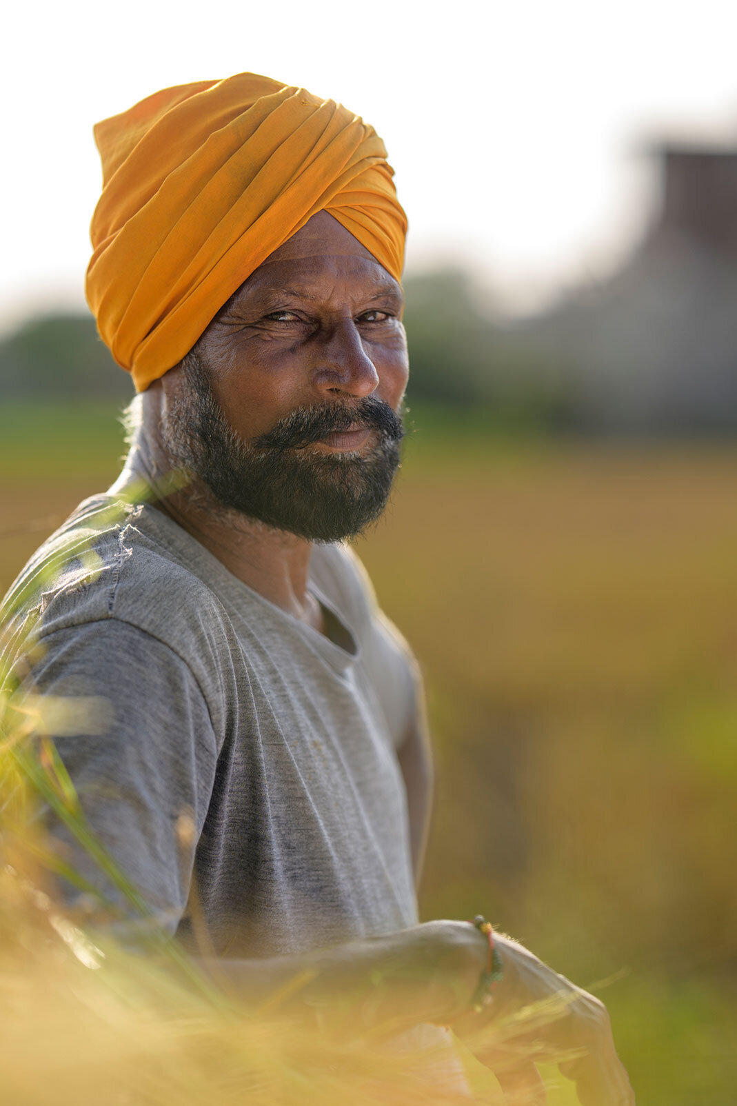 punjab_7