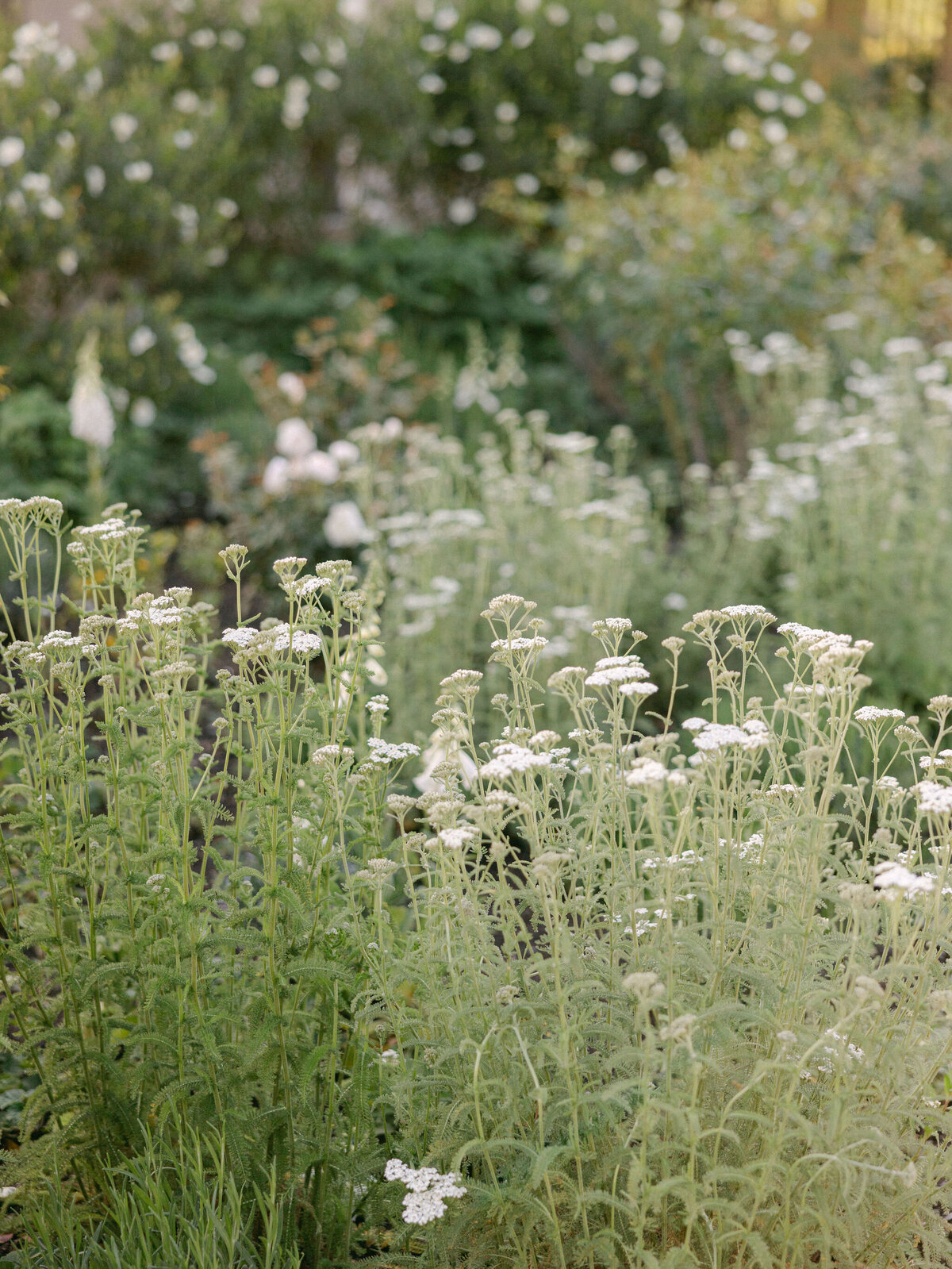 larissa-cleveland-photographer-napa-california-wine-country-wedding-private-estate-046