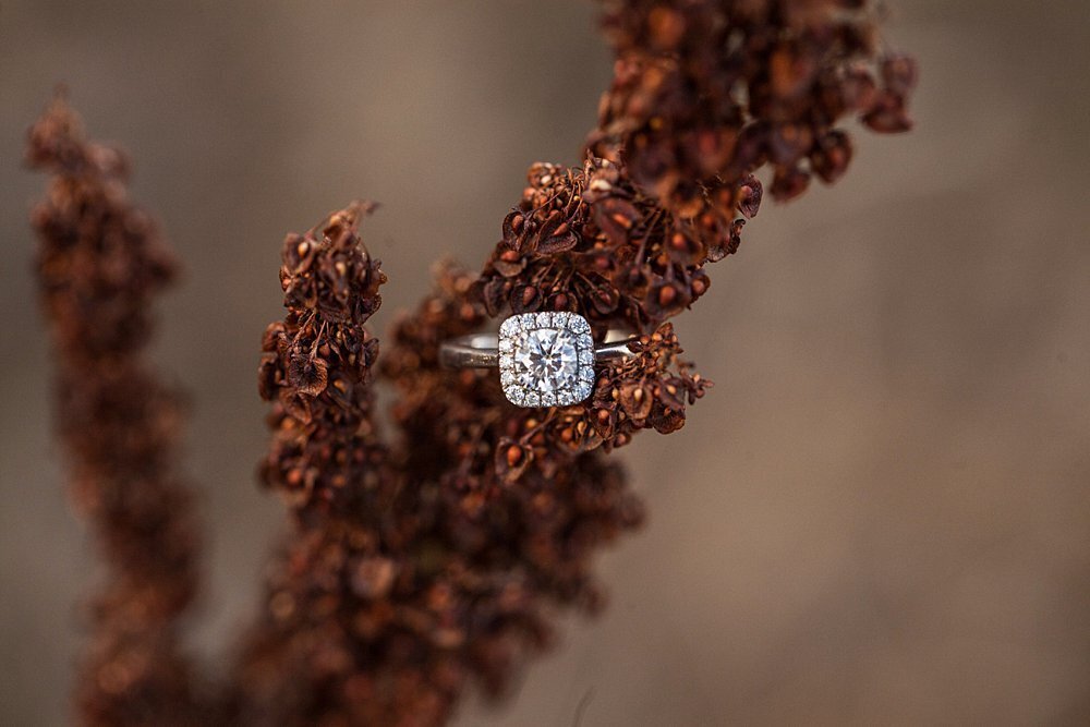 engagement ring resting on Autumn branch