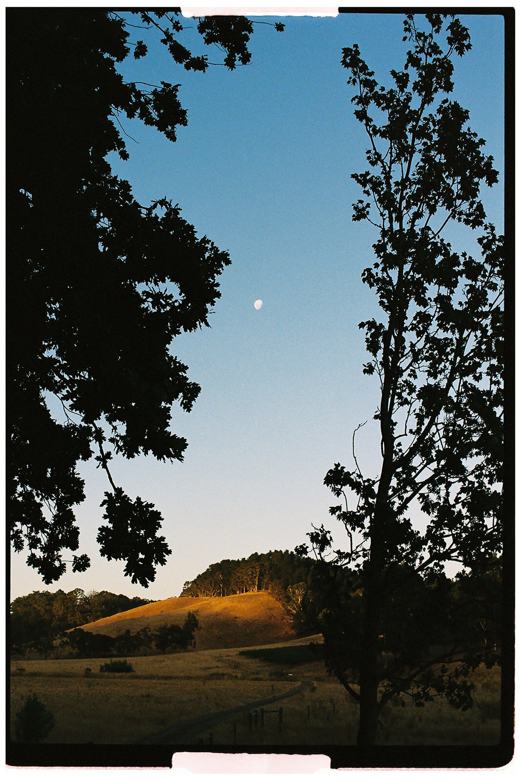 Eilis & Zac-810_websize