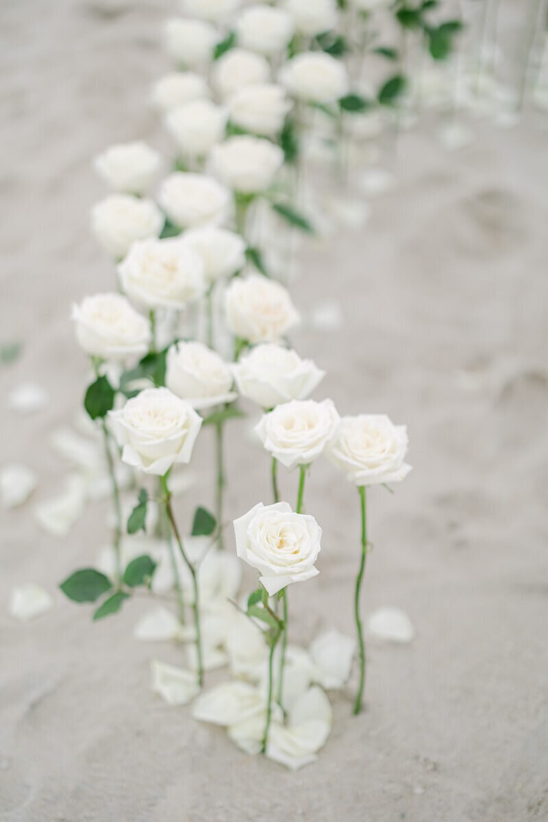 Philadelphia Wedding Photographer_Sarah Canning Photography_0004