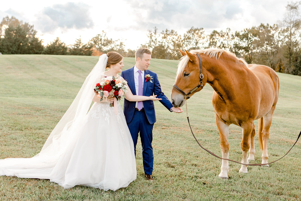 Klaire-Dixius-Photography-Fine-Art-Virginia-Wedding-Photographer-Foxchase-Farm-Wedding-Middleburg-Virginia-Matt-Erin-bride-groom-281_websize