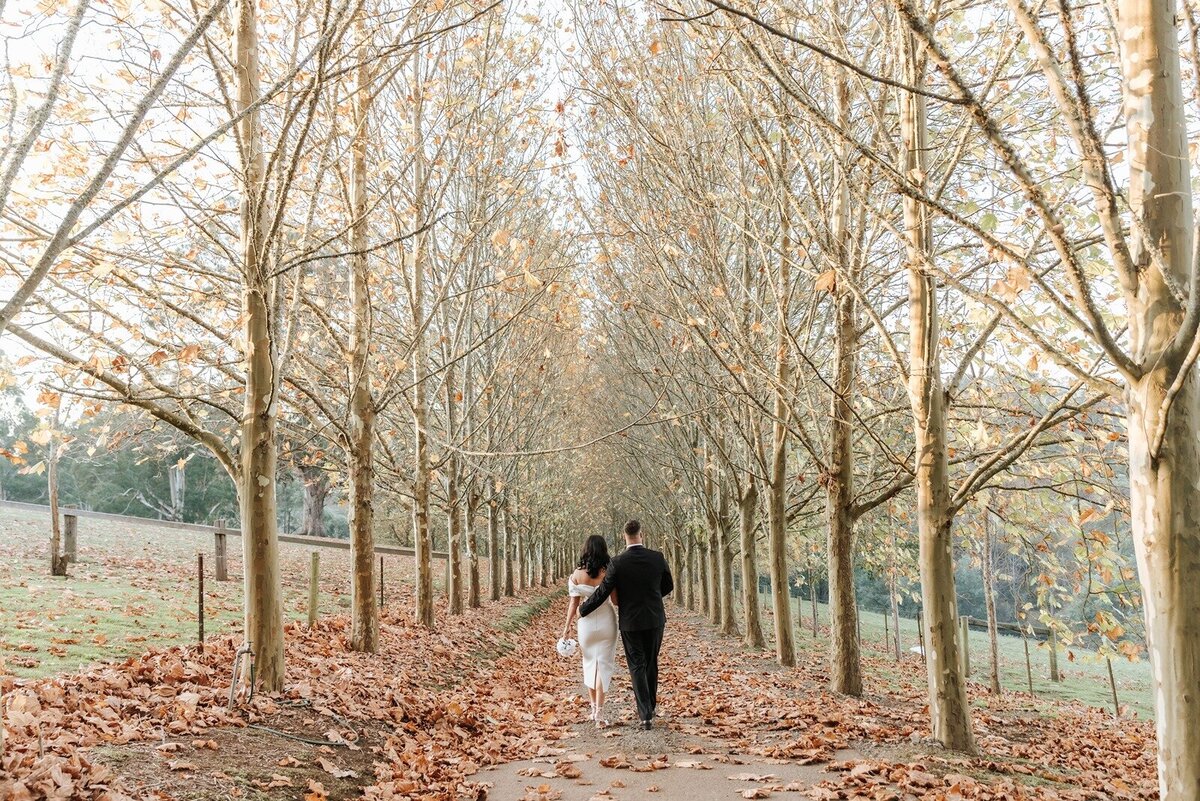 Elope-small-micro-wedding-elopement-yarra-ranges-mont-du-soleil88