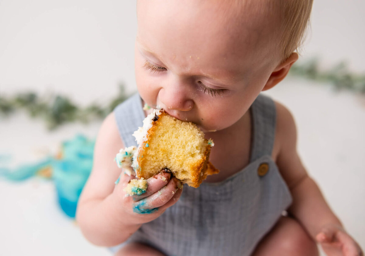 columbia sc cake smash