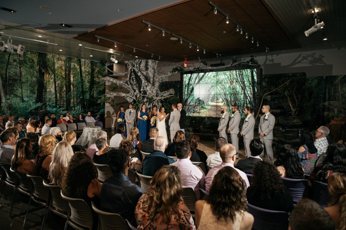 Wedding at National Aviary, Pittsburgh, PA