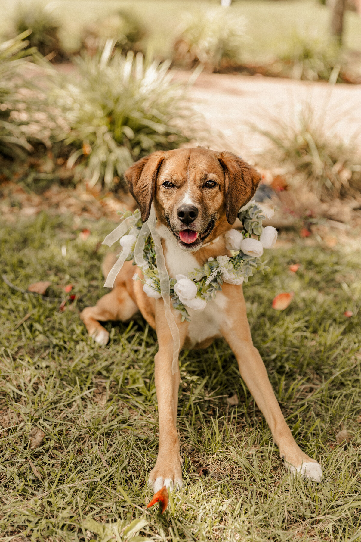 JoseEricaElopement-50
