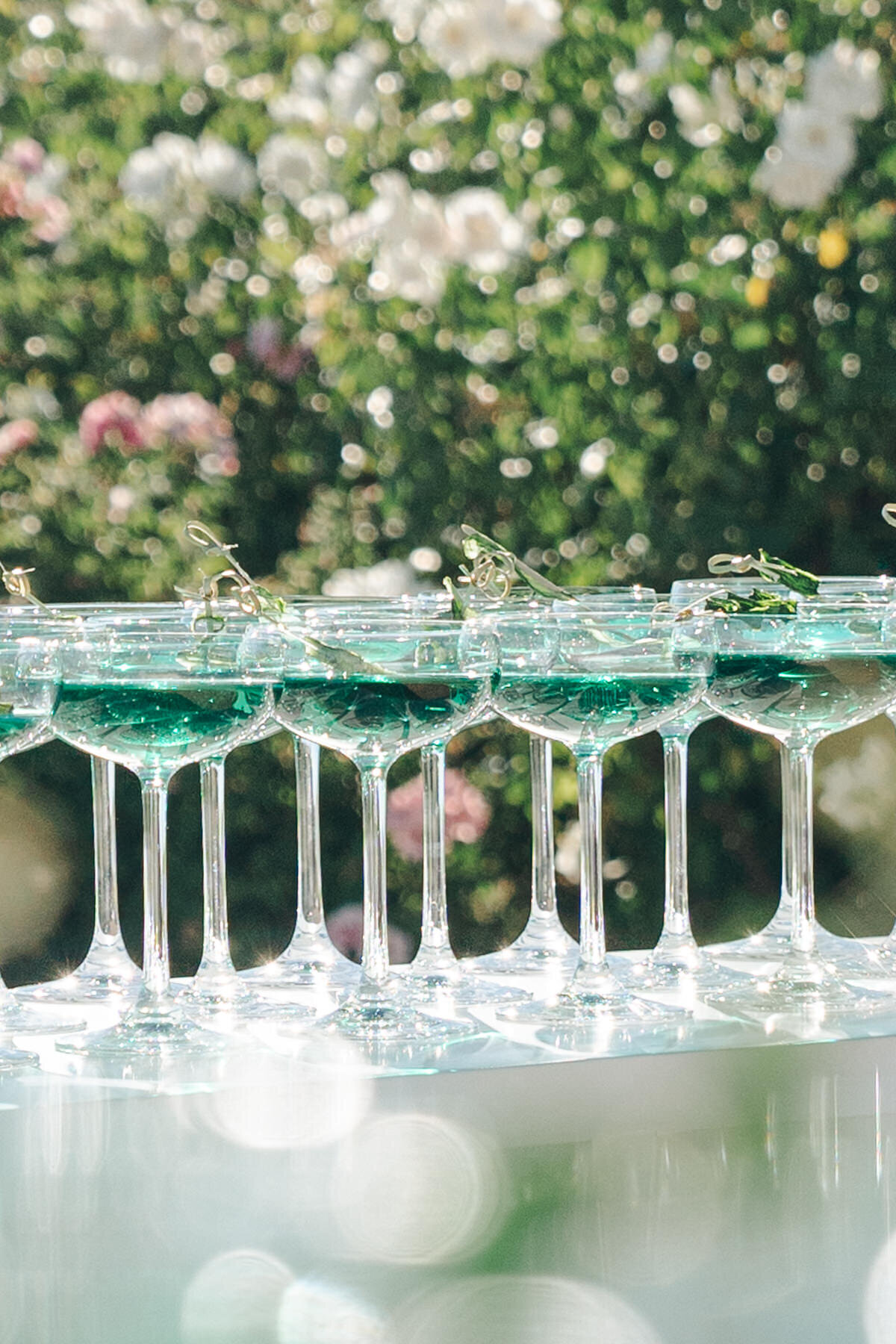 malibu-wedding-photographer-masha-sakhno-photo (113 of 263)