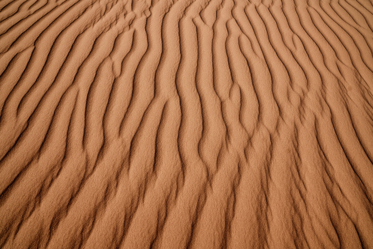 Glamis_Dunes_Emily-1