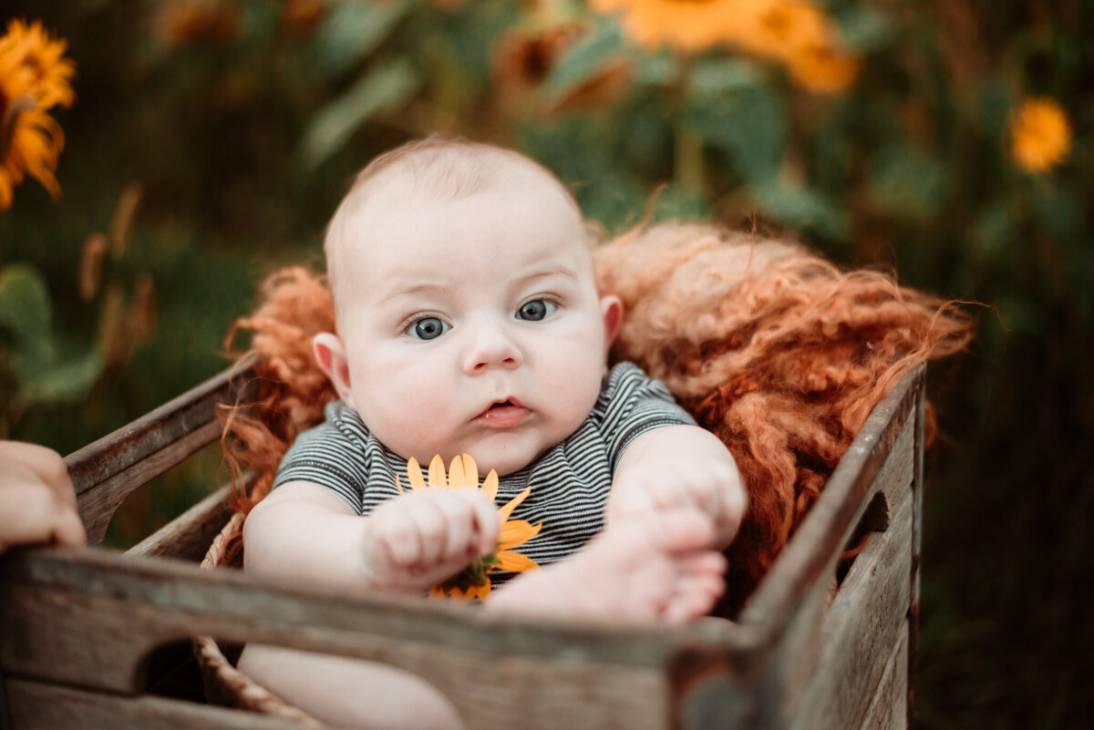 columbus-ohio-family-photographer-103