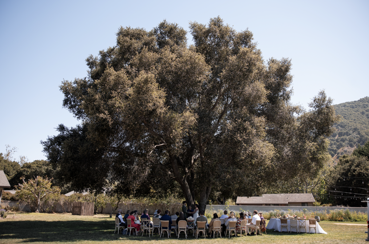 Screenshot 2025-01-17 at 2.22.47 PM