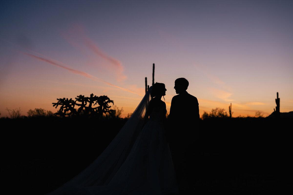 The Paseo wedding venue Phoenix Arizona landscape image