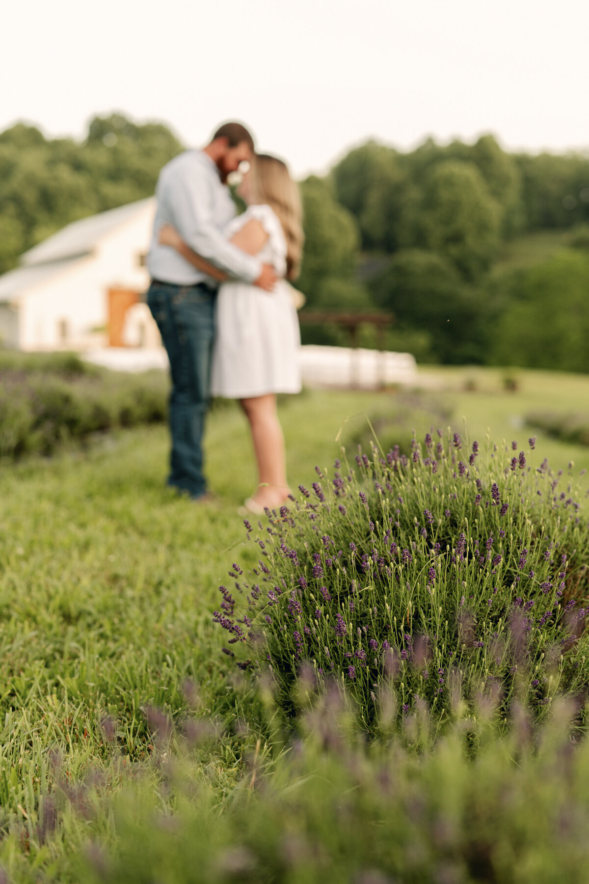 WVWedding-258