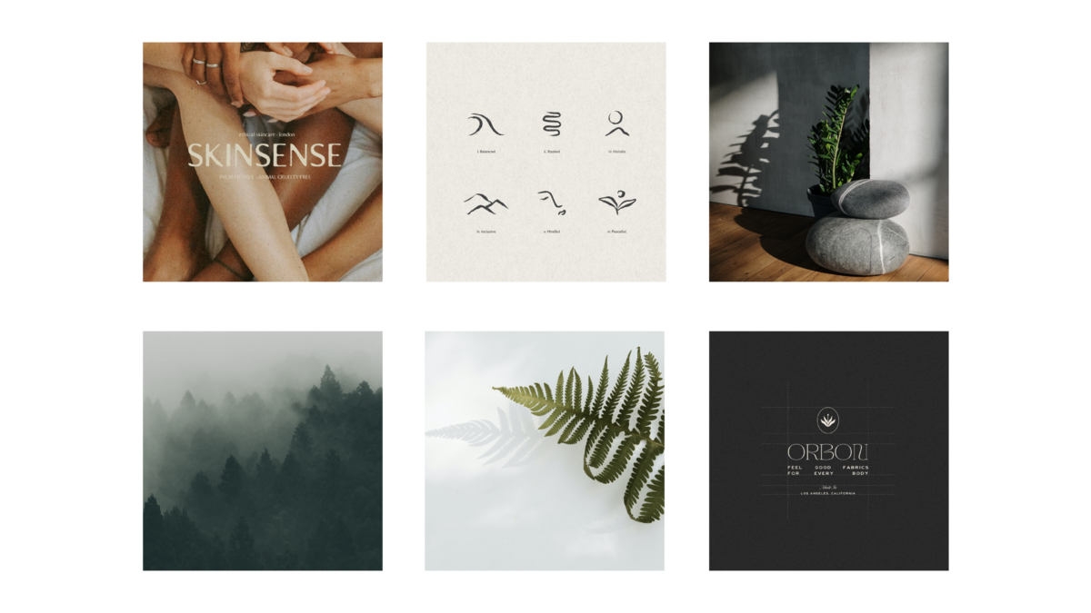 Minimal, nature inspired moodboard design for physiotherapy branding
