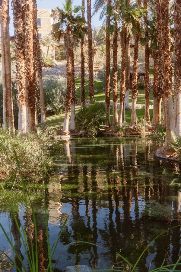 The-Oasis-Elopement-22