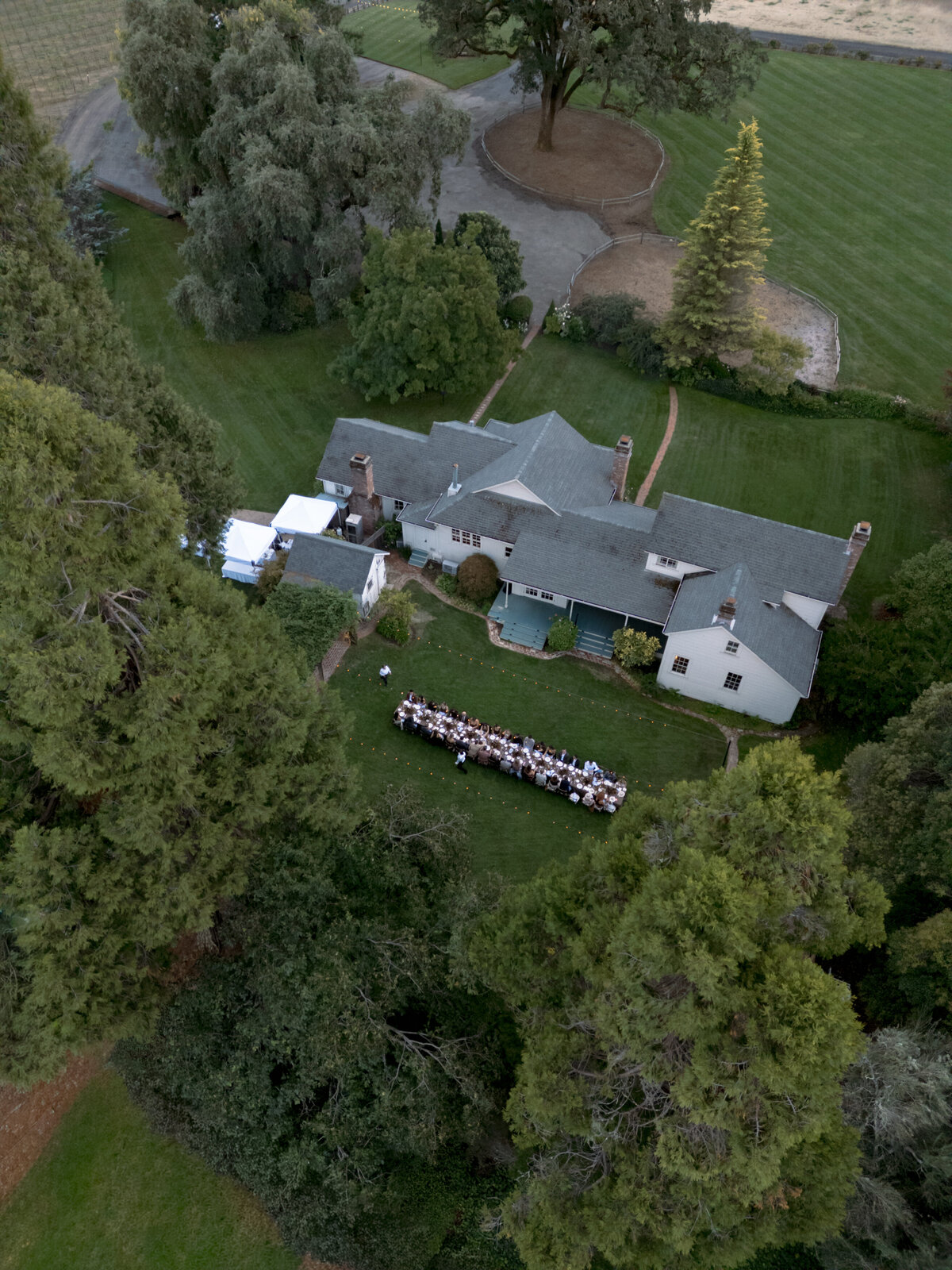 DT-2025-Celine & Gabe Highlights-80