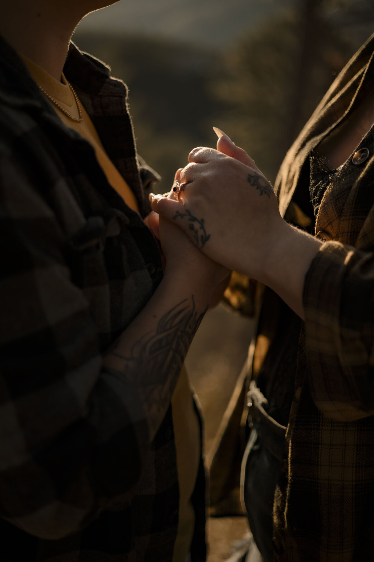smoky mountain photographer (11)