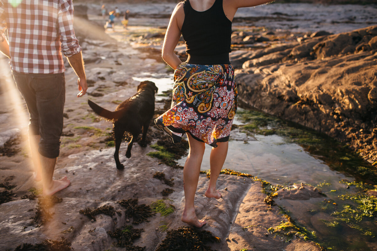 Engagement shoot at Wembury with dog
