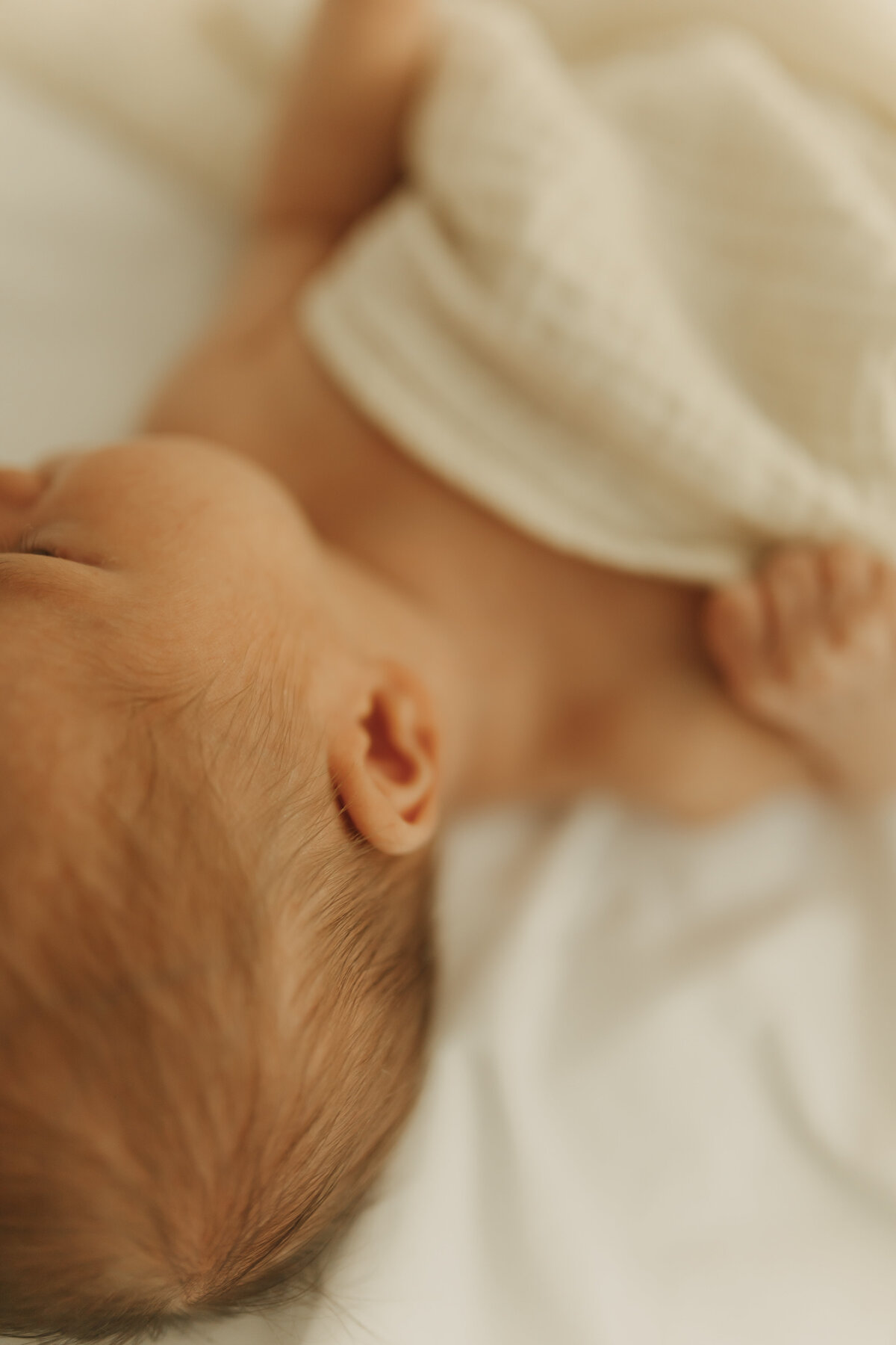 baby-2814