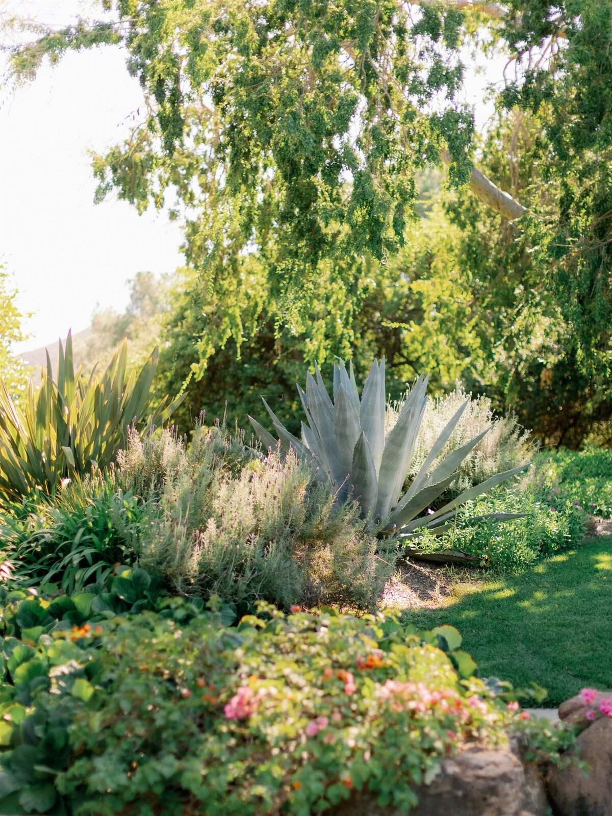 caitlin-alohilani-kathryn-josh-quail-ranch-wedding-details-30