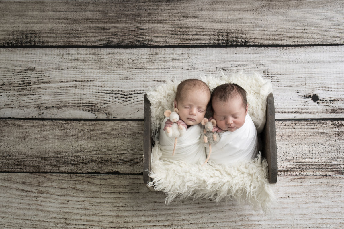 Newborn baby twins  professional photography in Bend OR