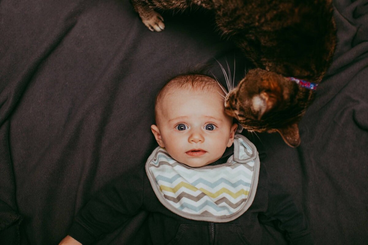 family photographer portrait of a baby with a cat sniffing his head