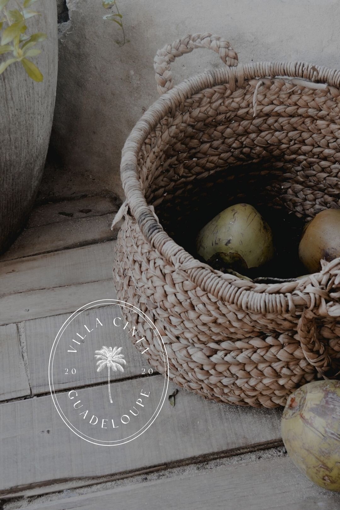 portfolio-bewildstudio-VC12