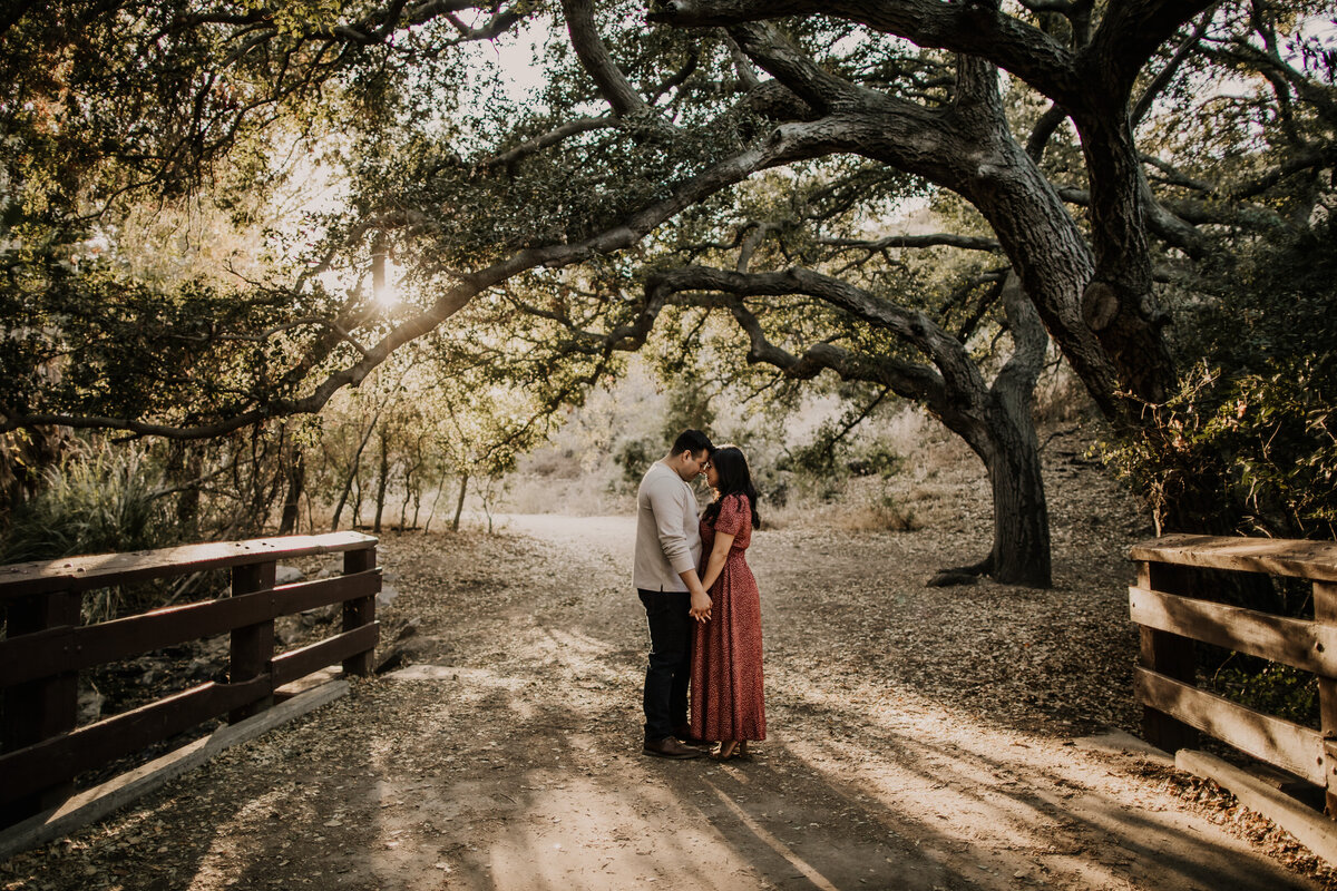 Orange County Rustic Engagement Session-29